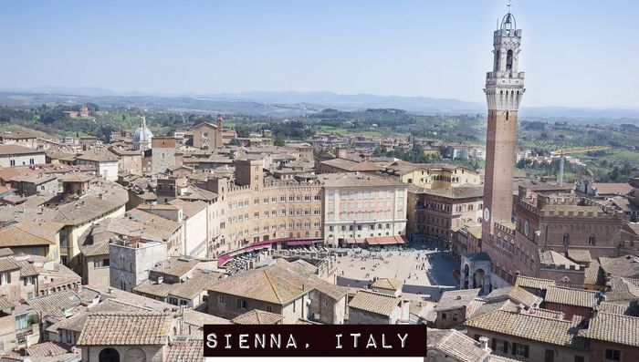 Combine dry ingredients: cocoa powder, and plain flour with the spice mixture.