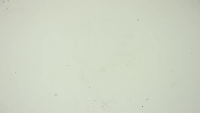 Bake according to the original recipe's instructions (time and temperature not specified).