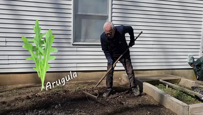 Plant your seeds according to their specific instructions.