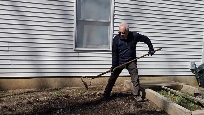 After transplanting, carefully place the seedlings into the prepared garden.