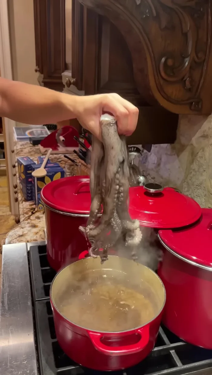 Pat the octopus dry, slice it, and separate the tentacles.