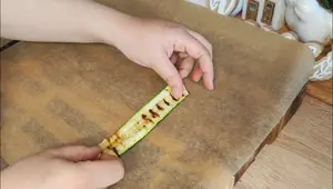 Grilled Zucchini Rolls: Easy & Fast Recipe