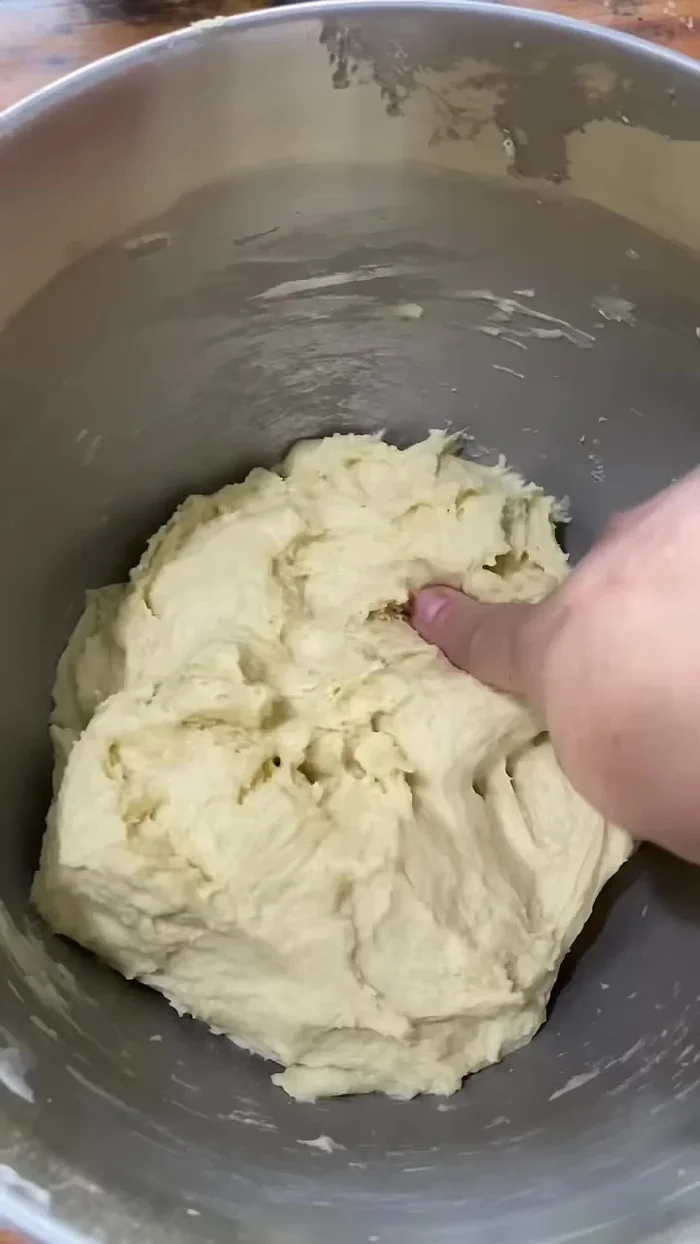 Cover and let the dough rest for 40 minutes or until doubled in volume.