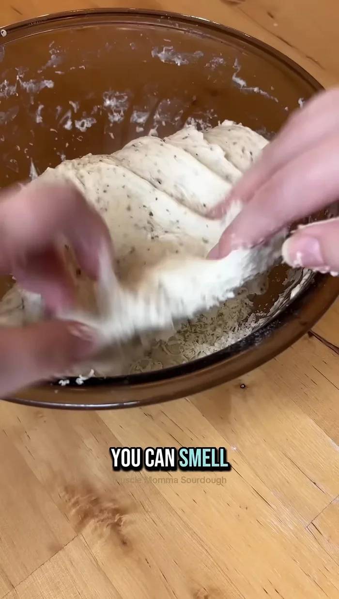 Continue stretch and folds until all four sides are done. Let the dough bulk ferment for a few more hours.