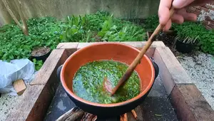 Ancient Roman Wild Asparagus Frittata Recipe