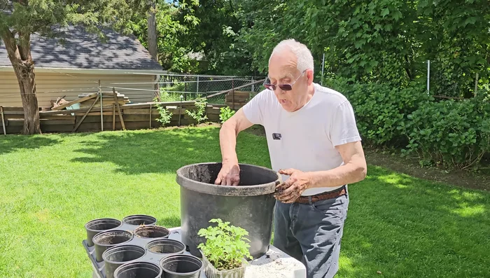 Harvest your homegrown cherry tomatoes. (Choose ripe, red tomatoes for the best flavor.)