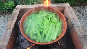 Ancient Roman Milk Thistle Recipe: A Foraged Feast