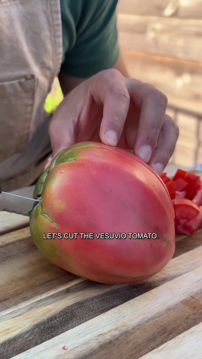 Cut Vizuvio tomatoes (has barely any water, perfect for bruschetta) and other tomatoes into small cubes.