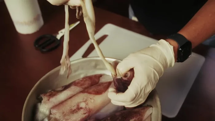 Clean the calamari: remove the head, bone, and skin (108.0)